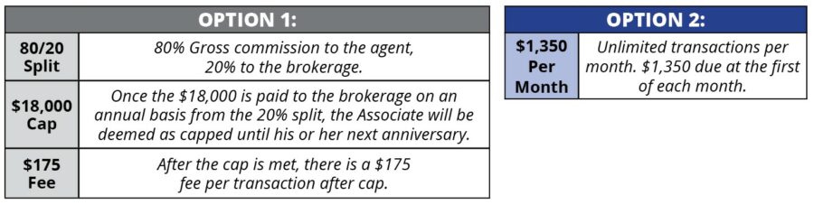 Table Detailing Commission and Compensation Plan Options