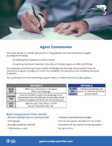 Agent Commission Flyer